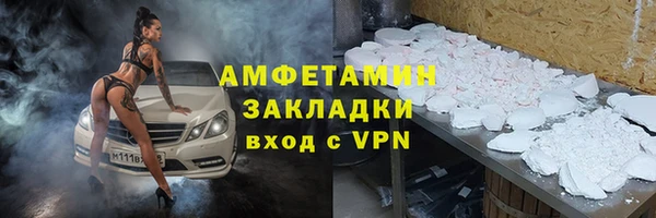 ГАЛЛЮЦИНОГЕННЫЕ ГРИБЫ Ельня
