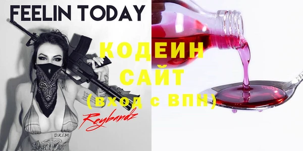 ГАЛЛЮЦИНОГЕННЫЕ ГРИБЫ Ельня