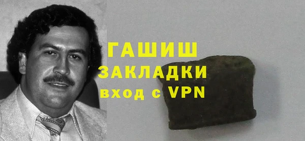 ГАЛЛЮЦИНОГЕННЫЕ ГРИБЫ Ельня
