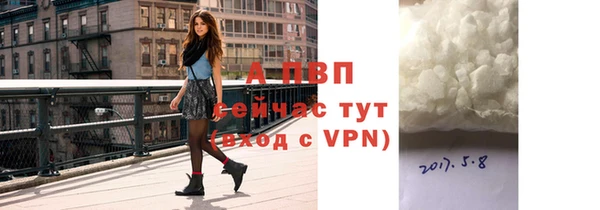 ГАЛЛЮЦИНОГЕННЫЕ ГРИБЫ Ельня