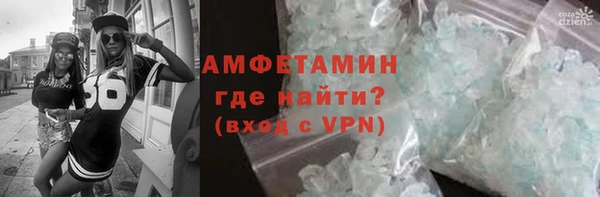 ГАЛЛЮЦИНОГЕННЫЕ ГРИБЫ Ельня