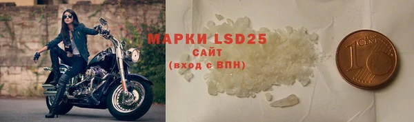 ГАЛЛЮЦИНОГЕННЫЕ ГРИБЫ Ельня