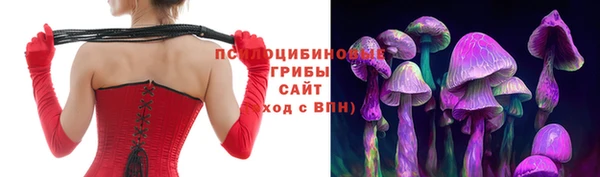 ГАЛЛЮЦИНОГЕННЫЕ ГРИБЫ Ельня