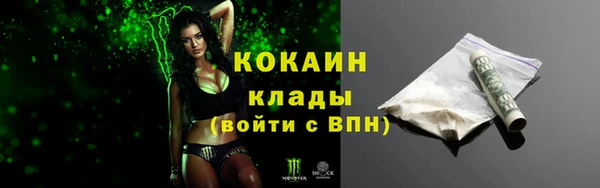ГАЛЛЮЦИНОГЕННЫЕ ГРИБЫ Ельня
