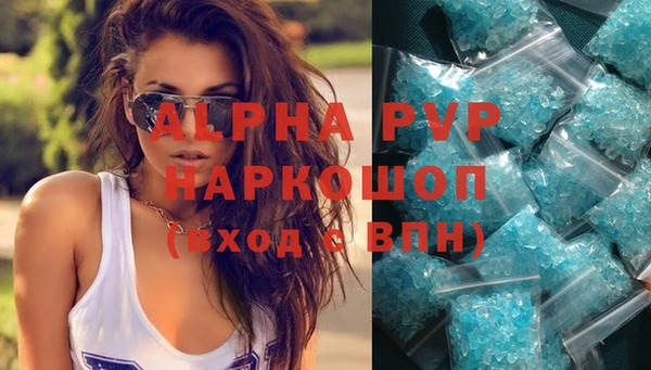 ГАЛЛЮЦИНОГЕННЫЕ ГРИБЫ Ельня