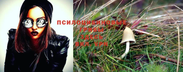 mdpv Елизово